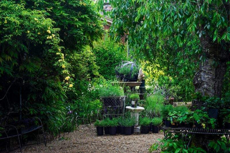 Spring Garden Prep Tips for a Healthier Landscape